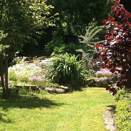 Ferienwohnung Baars Bad Sachsa Dış mekan fotoğraf