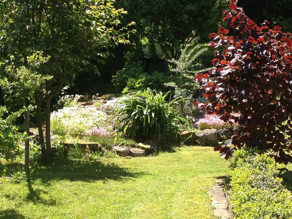 Ferienwohnung Baars Bad Sachsa Dış mekan fotoğraf